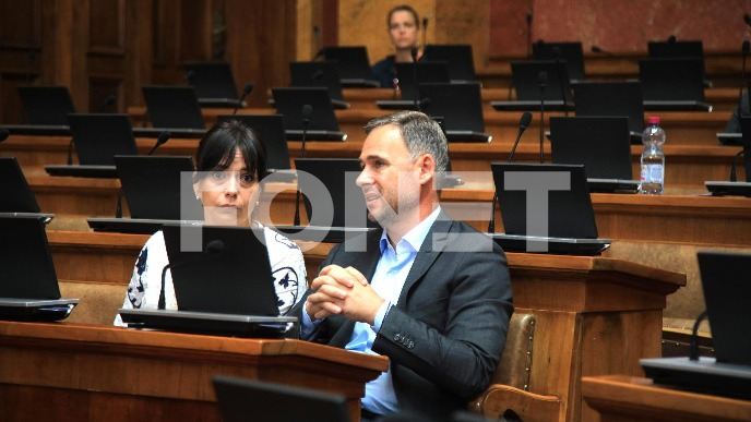 Mali vikao na Paunović